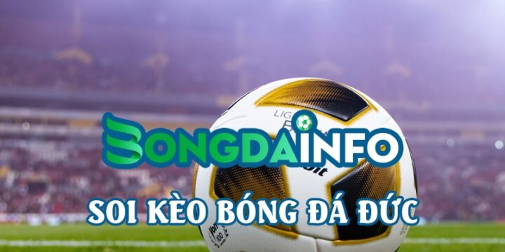 Bongdainfo.com – Trang thông tin bóng đá trực tuyến uy tín số 1 tại Việt Nam