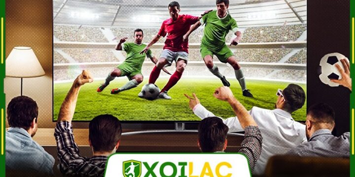 Xoilac – Xem bóng đá trực tiếp đã mắt, theo dõi bảng xếp hạng rõ từng vị trí