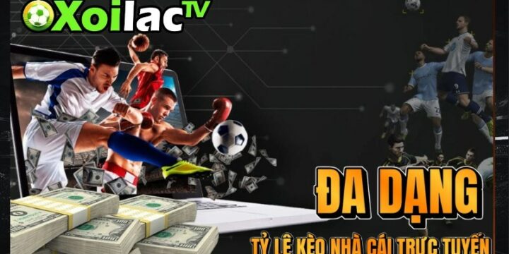 Không còn “cầu nguyện” mỗi lần xuống tiền: Cách mình và anh em dùng ty le keo tại Xoilacvn để chơi tỉnh táo hơn