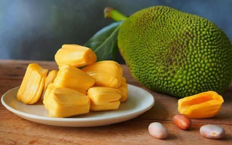 mo thay qua mit danh con gi kham pha diem bao bat ngo