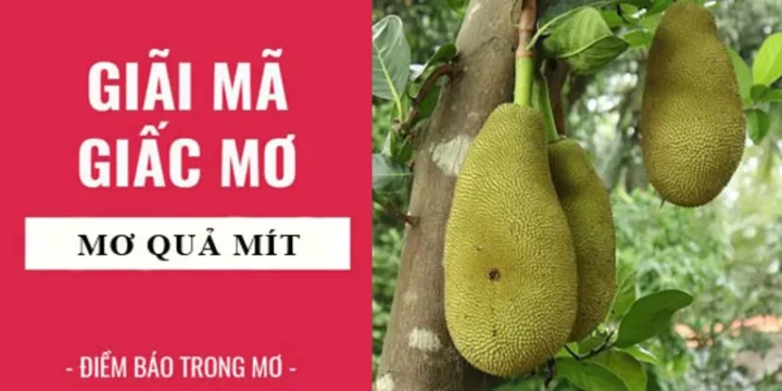 Mơ thấy quả mít đánh con gì? Khám phá điềm báo bất ngờ